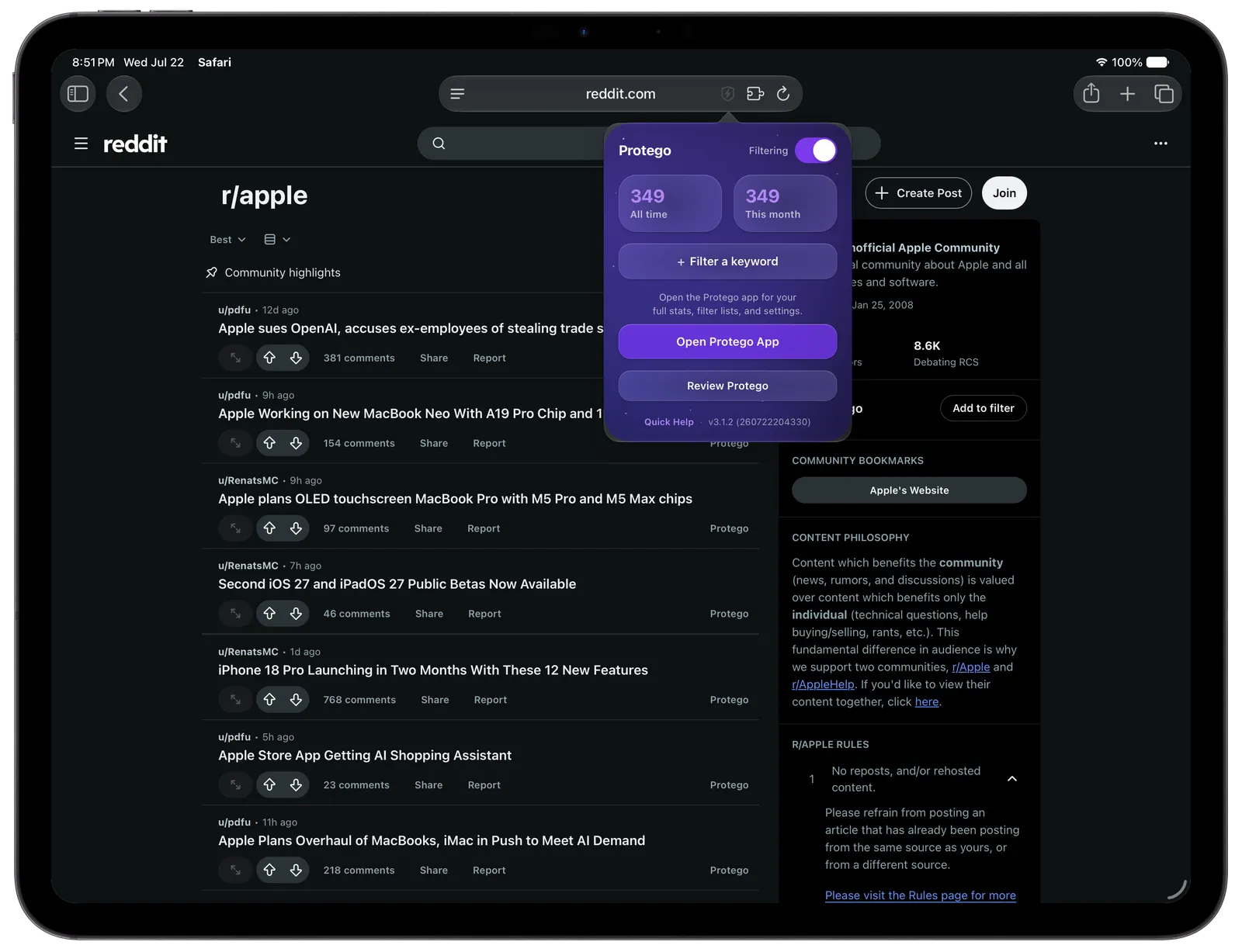 The Protego popup open over Reddit in Safari on an iPad, with filter counts, a filtering toggle, and a button to filter a keyword