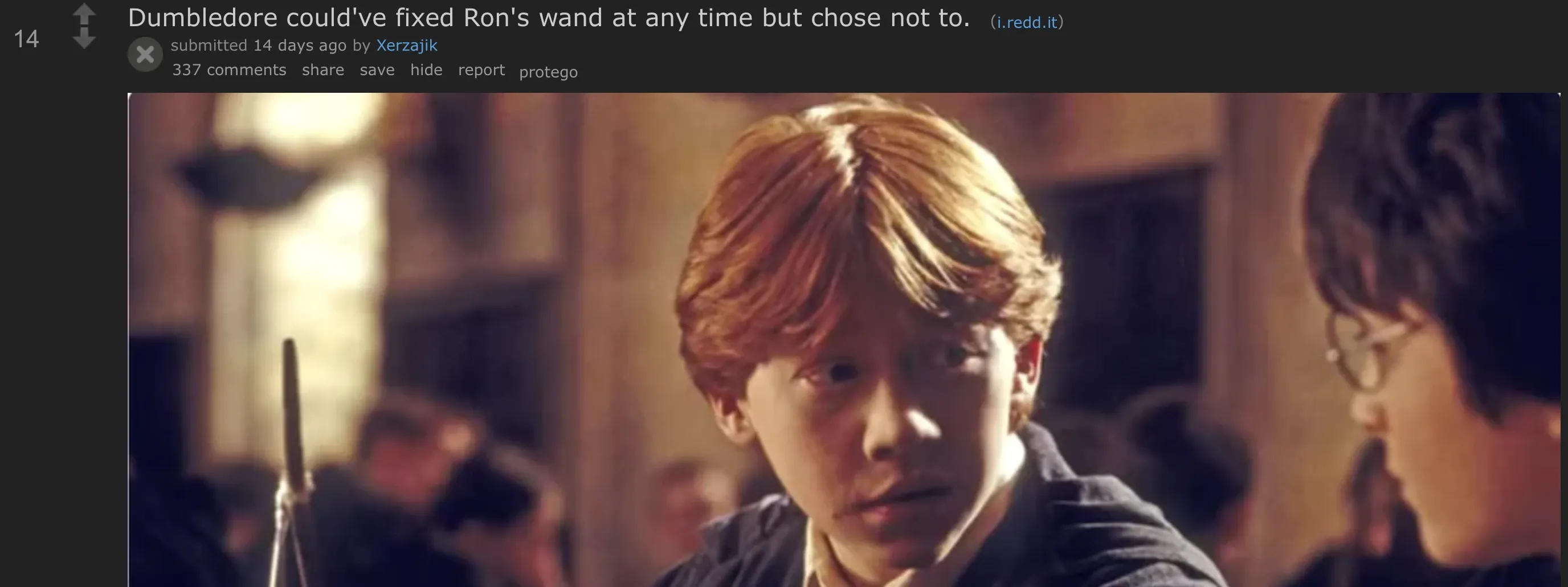 An old Reddit post in the dark theme, with a Protego link in its action row and its image already expanded.